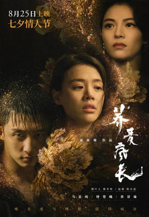 荷兰护照怎么买高仿